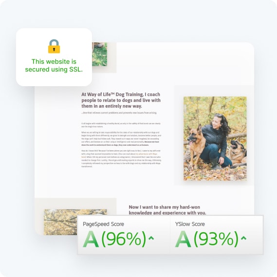 Screenshot of fast site speed and enhanced security